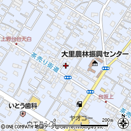 埼玉県深谷市上野台170周辺の地図