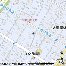 埼玉県深谷市上野台3390周辺の地図