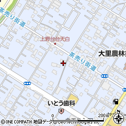 埼玉県深谷市上野台3394周辺の地図