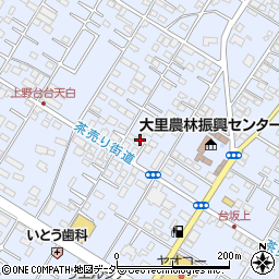 埼玉県深谷市上野台169周辺の地図