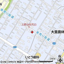埼玉県深谷市上野台3395周辺の地図