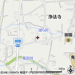 群馬県藤岡市浄法寺1193-7周辺の地図