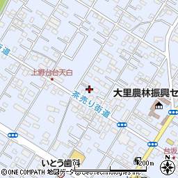埼玉県深谷市上野台166周辺の地図