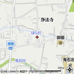 群馬県藤岡市浄法寺1195-1周辺の地図