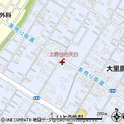埼玉県深谷市上野台3393周辺の地図