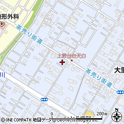埼玉県深谷市上野台3399周辺の地図