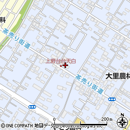 埼玉県深谷市上野台84周辺の地図