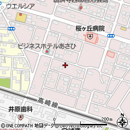 埼玉県深谷市国済寺358周辺の地図
