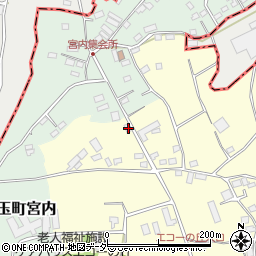 埼玉県本庄市児玉町飯倉106周辺の地図