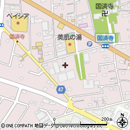 埼玉県深谷市国済寺616-32周辺の地図