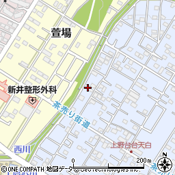 埼玉県深谷市上野台13周辺の地図