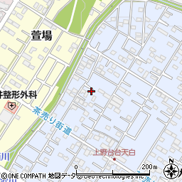 埼玉県深谷市上野台28周辺の地図