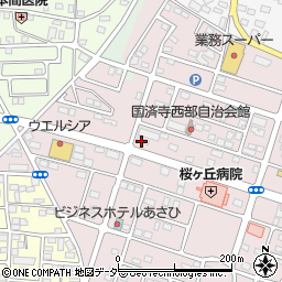 埼玉県深谷市国済寺34周辺の地図