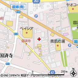 埼玉県深谷市国済寺493周辺の地図
