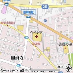 埼玉県深谷市国済寺426周辺の地図