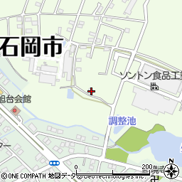 茨城県石岡市東大橋2079周辺の地図