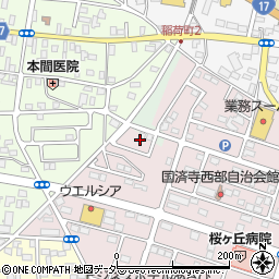 埼玉県深谷市国済寺48周辺の地図