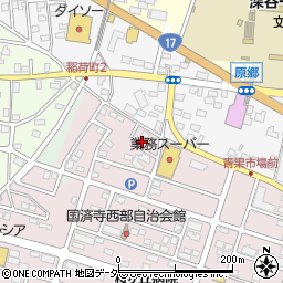 埼玉県深谷市国済寺29周辺の地図