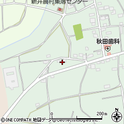 茨城県結城郡八千代町新井186周辺の地図