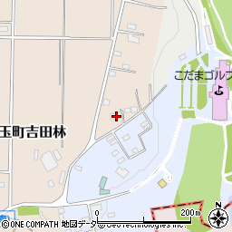 埼玉県本庄市児玉町吉田林799周辺の地図