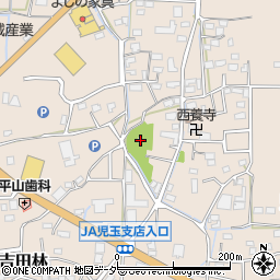 埼玉県本庄市児玉町吉田林207周辺の地図