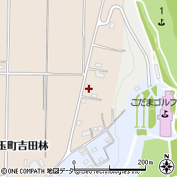 埼玉県本庄市児玉町吉田林818周辺の地図