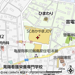 茨城県古河市雷電町1周辺の地図