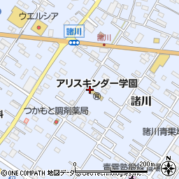 茨城県古河市諸川768周辺の地図