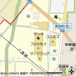サンキ本庄児玉店周辺の地図