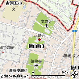 正麟寺周辺の地図