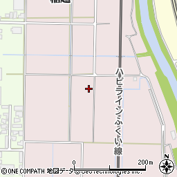 福井県あわら市稲越周辺の地図