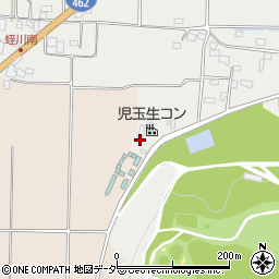 埼玉県本庄市児玉町蛭川542周辺の地図