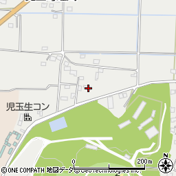 埼玉県本庄市児玉町蛭川502周辺の地図