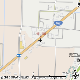 埼玉県本庄市児玉町蛭川377周辺の地図