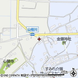 埼玉県本庄市児玉町蛭川793-1周辺の地図