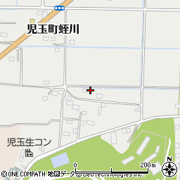 埼玉県本庄市児玉町蛭川465周辺の地図