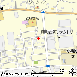 茨城県古河市小堤2127周辺の地図