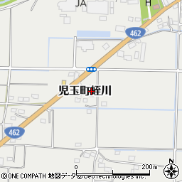 埼玉県本庄市児玉町蛭川306周辺の地図