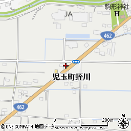 埼玉県本庄市児玉町蛭川309周辺の地図