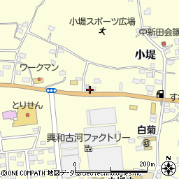 茨城県古河市小堤242周辺の地図