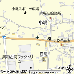 茨城県古河市小堤245周辺の地図