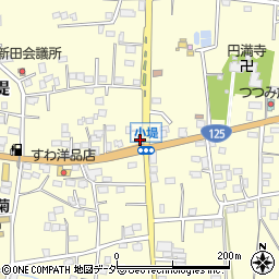 茨城県古河市小堤260周辺の地図