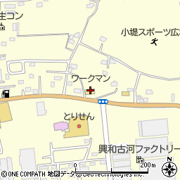 ワークマン総和店周辺の地図