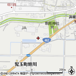 埼玉県本庄市児玉町蛭川223周辺の地図