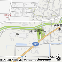 埼玉県本庄市児玉町蛭川236周辺の地図