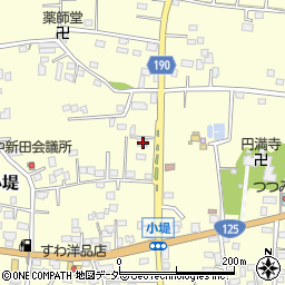 茨城県古河市小堤262周辺の地図