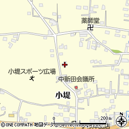 茨城県古河市小堤270周辺の地図