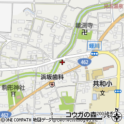 埼玉県本庄市児玉町蛭川173-9周辺の地図