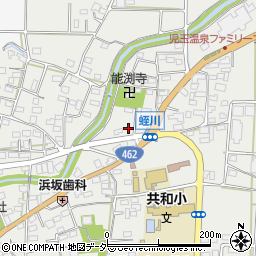 埼玉県本庄市児玉町蛭川167周辺の地図