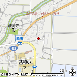 埼玉県本庄市児玉町蛭川959-3周辺の地図